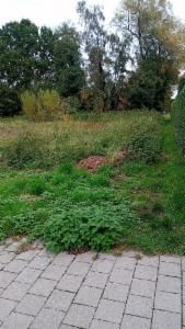 Première photo alternative du bien