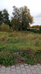 Troisième photo alternative du bien