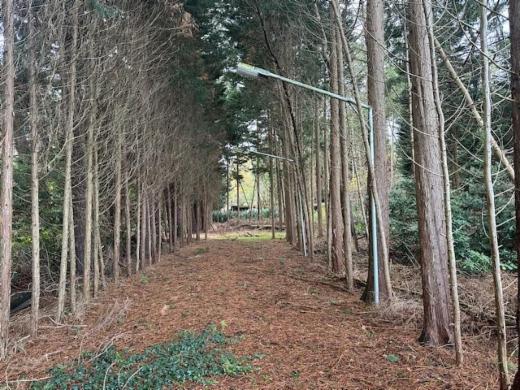 Première photo alternative du bien