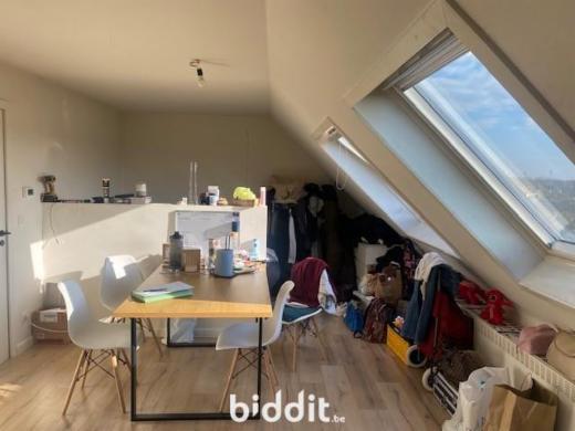 Image de présentation du bien n° 285300
