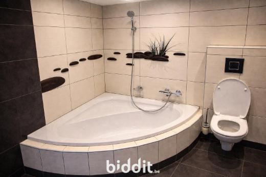 Troisième photo alternative du bien