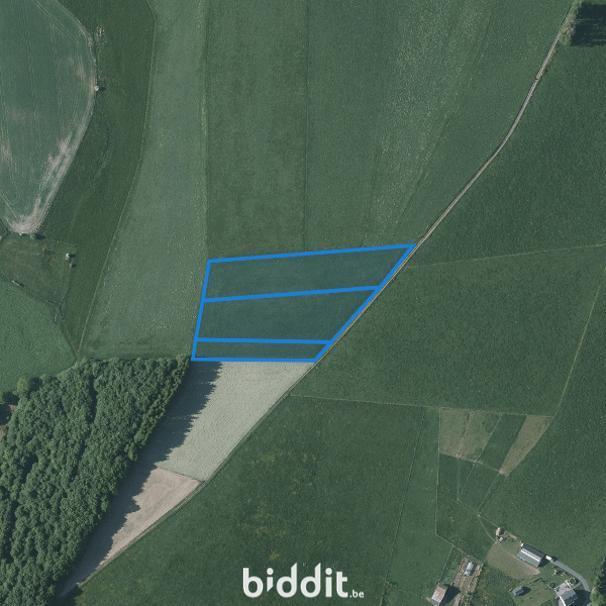 Image de présentation du bien n° 297274