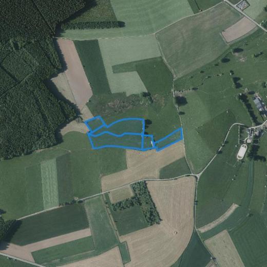 Image de présentation du bien n° 300299