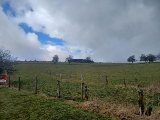 Première photo alternative du bien
