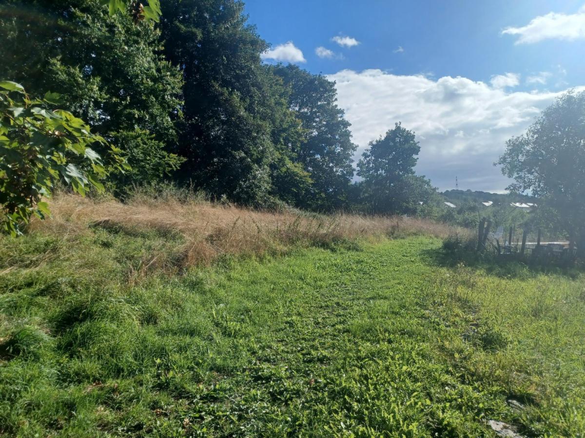 Image de présentation du bien n° 293025