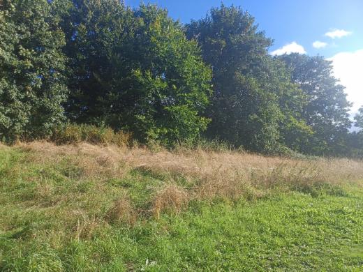 Seconde photo alternative du bien