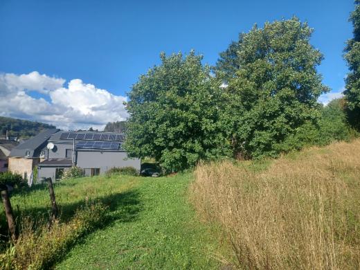 Troisième photo alternative du bien