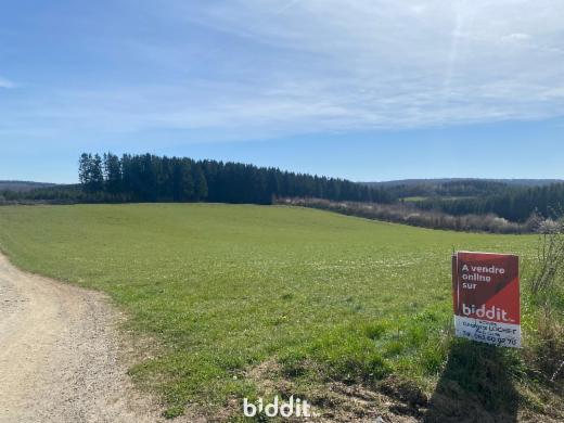 Image de présentation du bien n° 294846