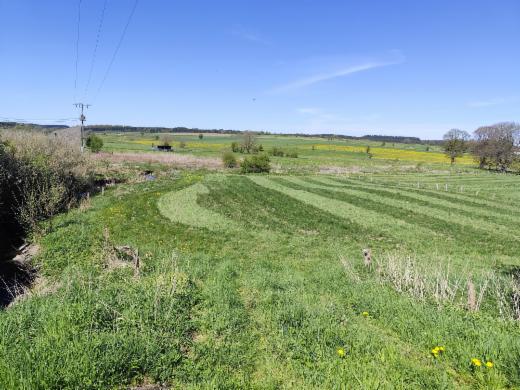 Image de présentation du bien n° 282236