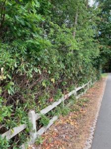 Image de présentation du bien n° 289386