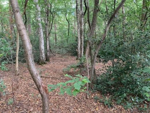 Première photo alternative du bien