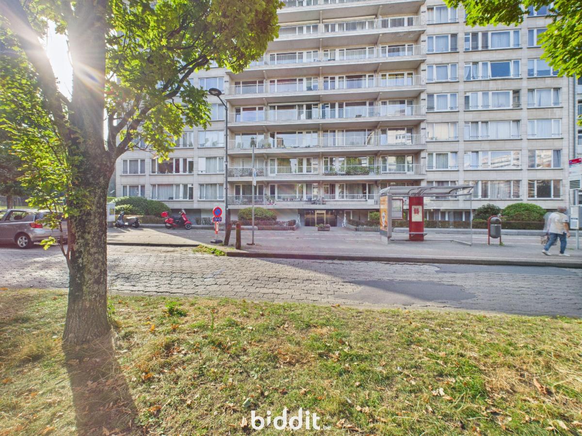 Image de présentation du bien n° 291473