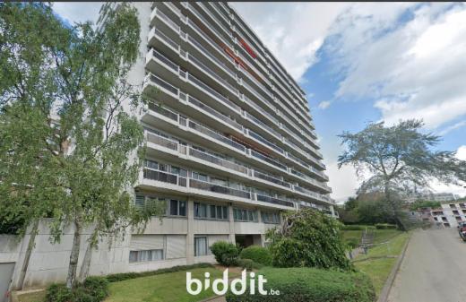 Image de présentation du bien n° 291494