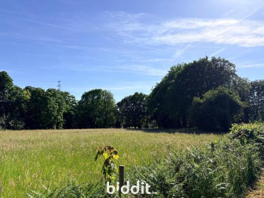 Première photo alternative du bien