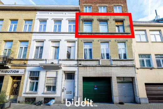 Image de présentation du bien n° 294028