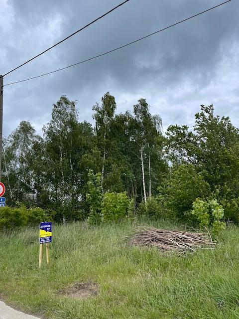 Image de présentation du bien n° 296708