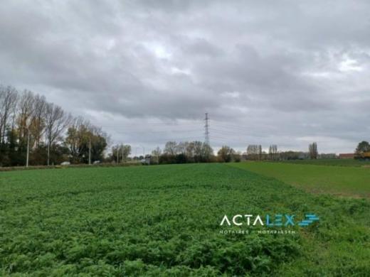 Image de présentation du bien n° 289717