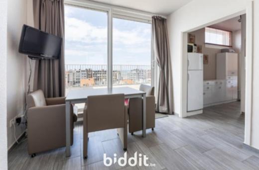 Image de présentation du bien n° 294847