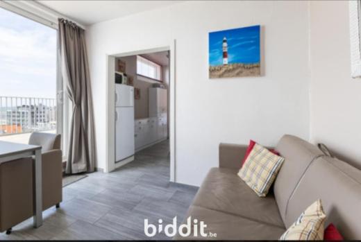 Première photo alternative du bien