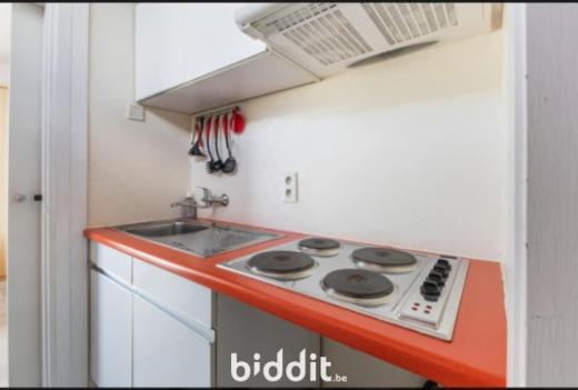 Troisième photo alternative du bien