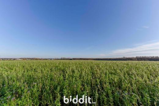 Troisième photo alternative du bien