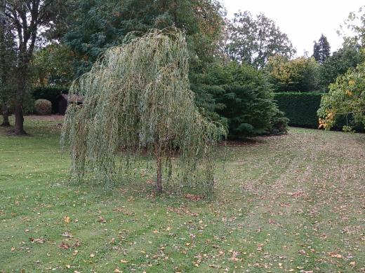 Seconde photo alternative du bien