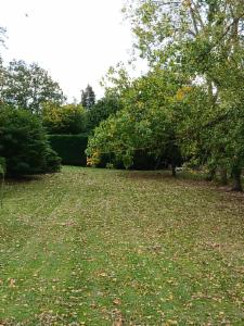 Première photo alternative du bien