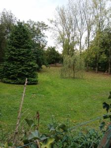 Première photo alternative du bien