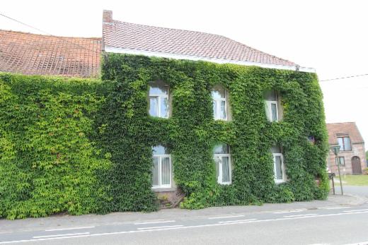 Première photo alternative du bien