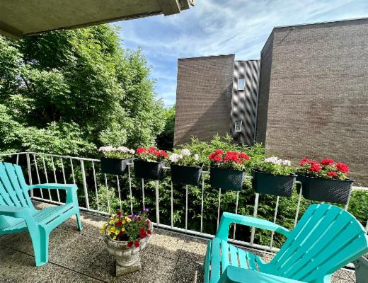 Première photo alternative du bien