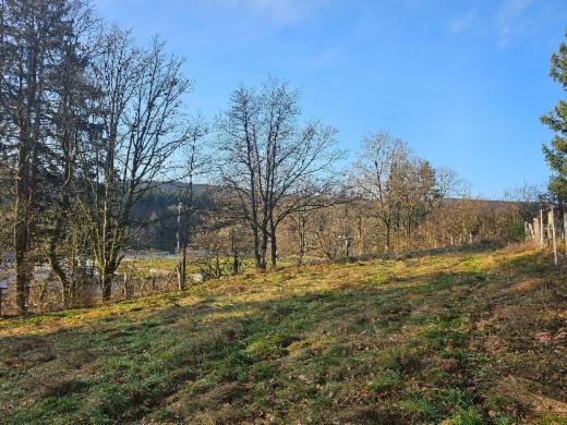 Image de présentation du bien n° 293852