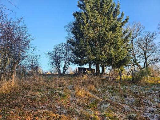 Seconde photo alternative du bien