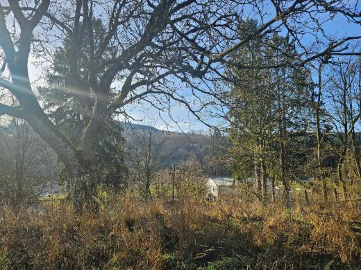 Troisième photo alternative du bien