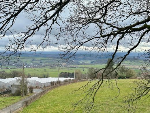 Première photo alternative du bien