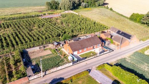 Image de présentation du bien n° 283125