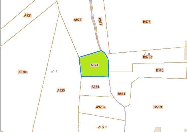 Image de présentation du bien n° 291399