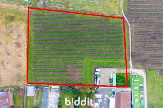 Image de présentation du bien n° 293034