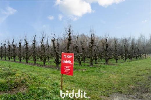 Première photo alternative du bien