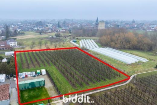 Seconde photo alternative du bien