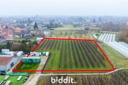 Troisième photo alternative du bien