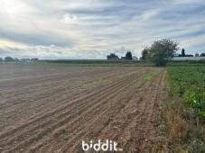 Image de présentation du bien n° 299716