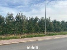 Image de présentation du bien n° 299717