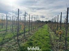 Première photo alternative du bien