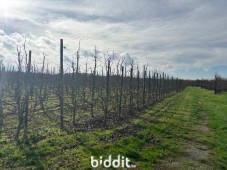 Image de présentation du bien n° 299720