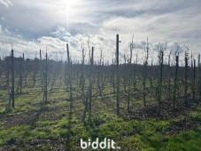 Première photo alternative du bien