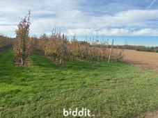 Image de présentation du bien n° 299727