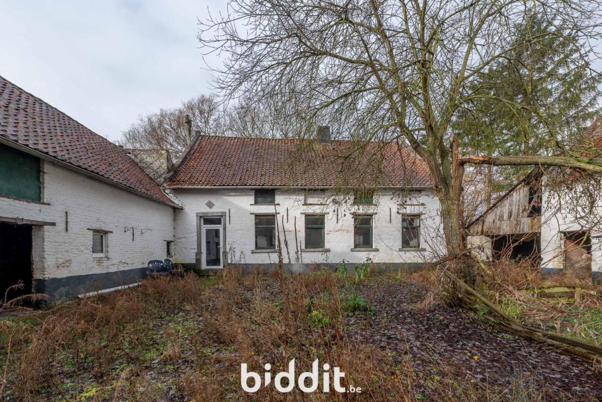 Image de présentation du bien n° 293110