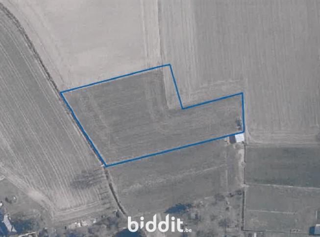 Image de présentation du bien n° 296402