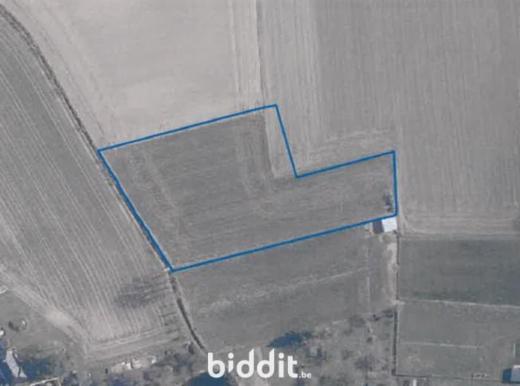 Image de présentation du bien n° 296402