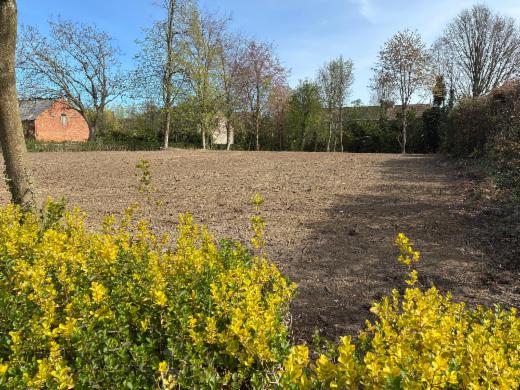 Image de présentation du bien n° 295708